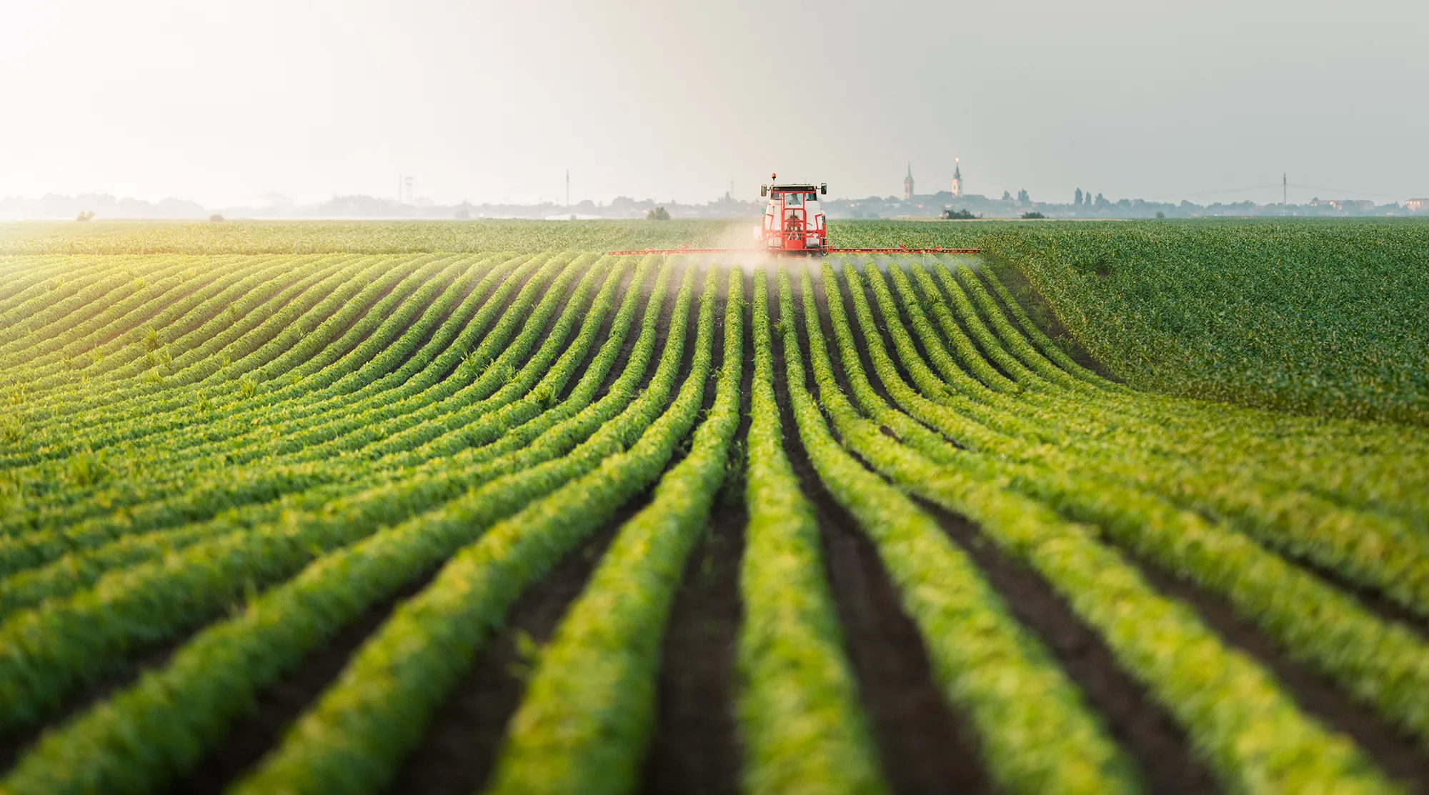 Président d’une coopérative agricole